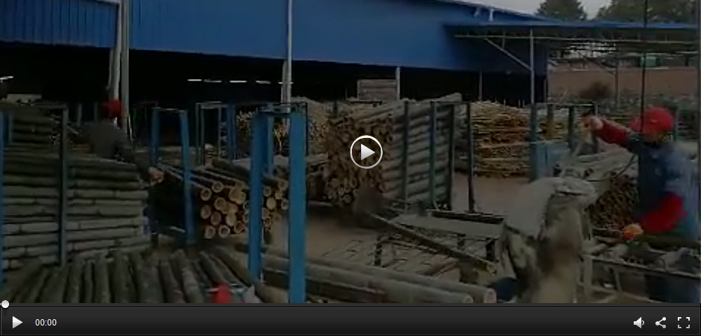 1537334218918126.jpg video.jpg